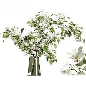 水生植物 花瓶 花卉摆件 陈设品 绿植